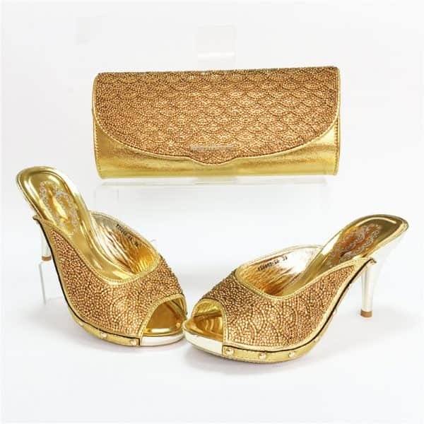 Elegant Shoe&Purse Set