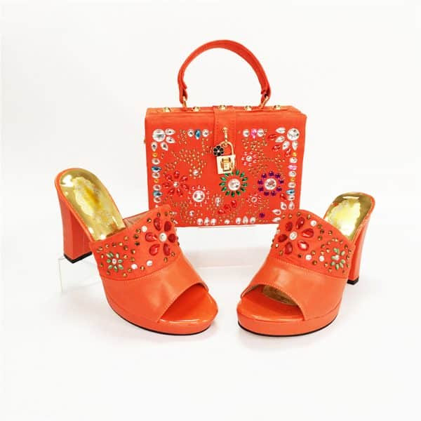 Elegant Shoe&Purse Set