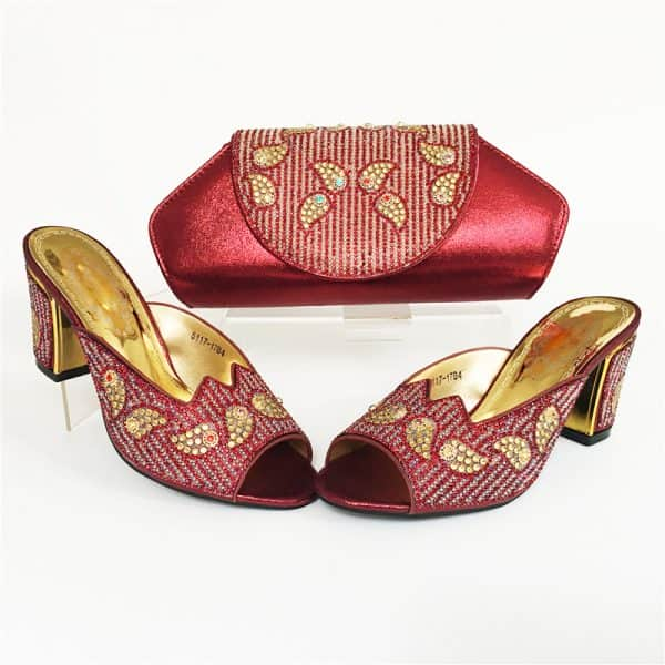 Elegant Shoe&Purse Set